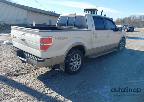 2009 Ford F-150 Fx4/King Ranch/Lariat/Platinum/Xl/Xlt z USA, uszkodzony, nr VIN 1FTPW14V79KA74476